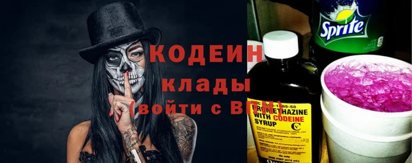 дживик Богородицк