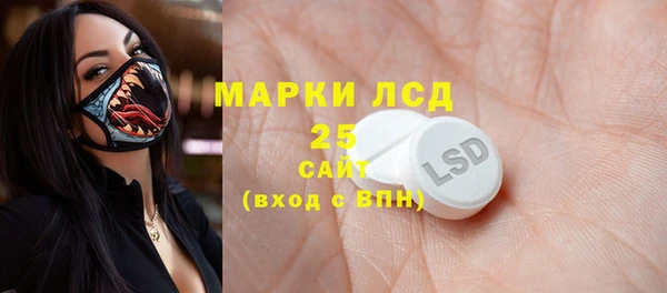 прущий лед Богданович
