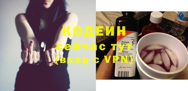 прущий лед Богданович