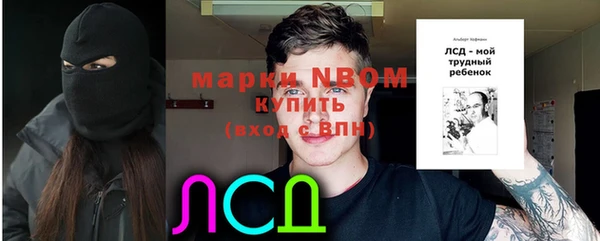 spice Богородск