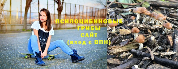 прущий лед Богданович