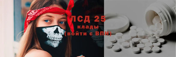 дживик Богородицк