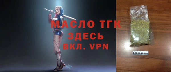 дживик Богородицк