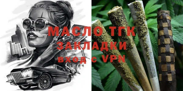дживик Богородицк
