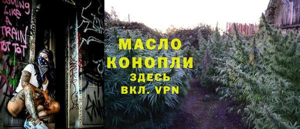 дживик Богородицк
