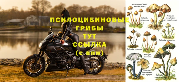 прущий лед Богданович
