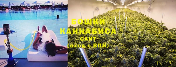 spice Богородск