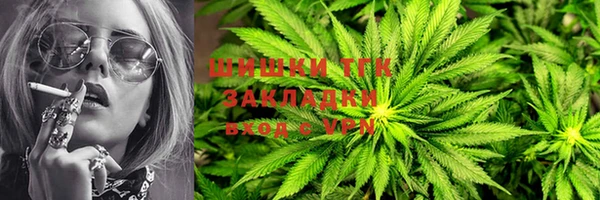 прущий лед Богданович