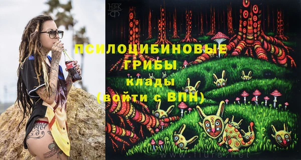 дживик Богородицк