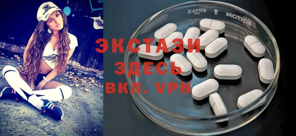 дживик Богородицк