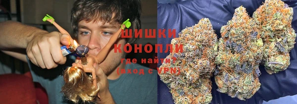дживик Богородицк