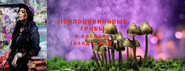 spice Богородск