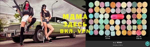 дживик Богородицк