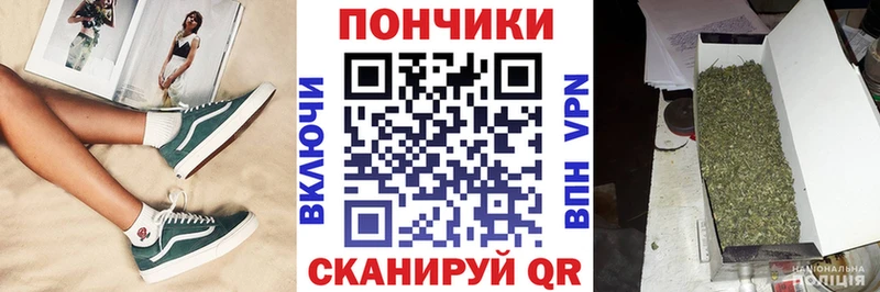 где купить   Облучье  Бошки Шишки план 
